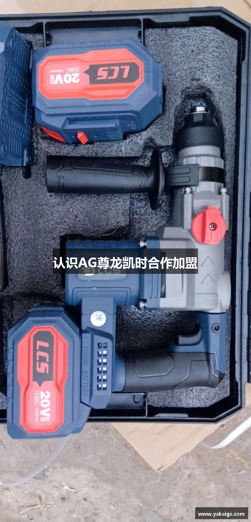 AG尊龙凯时中国合作加盟|最新app平台官网登录入口
